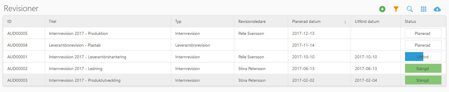 Internrevisionsprogram med överskådlighet